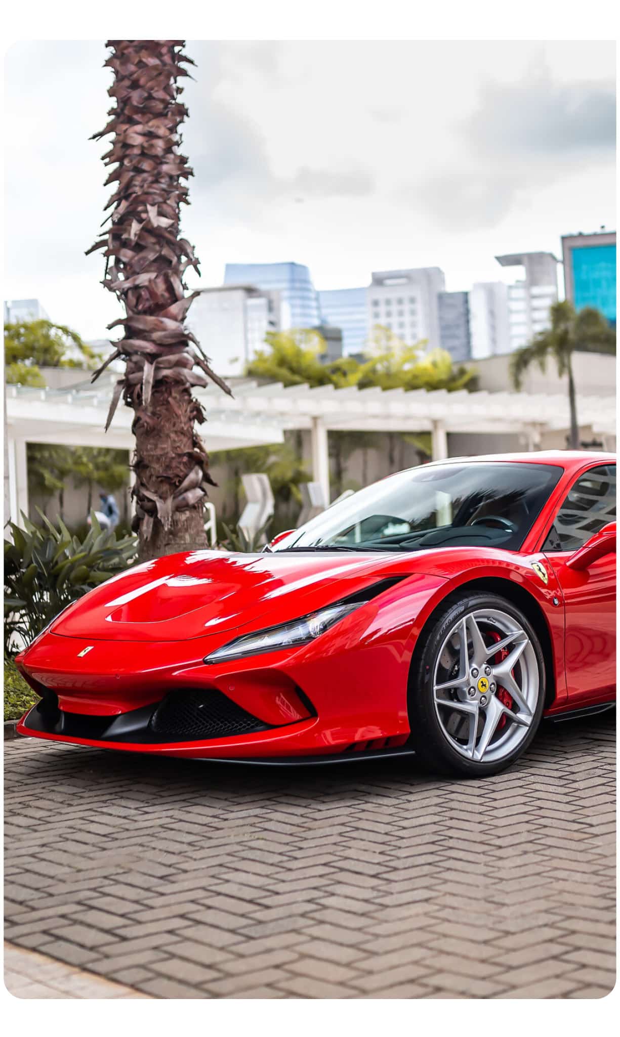 FERRARI MONACO